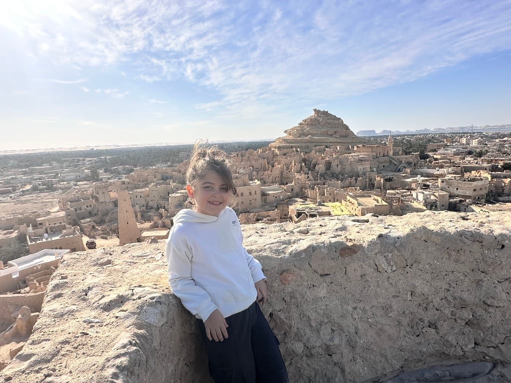 A view across Shali and Siwa oasis