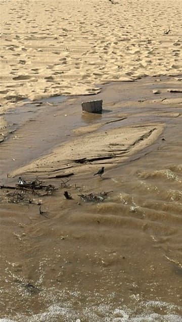 Water flowing across the LK Dunes sand